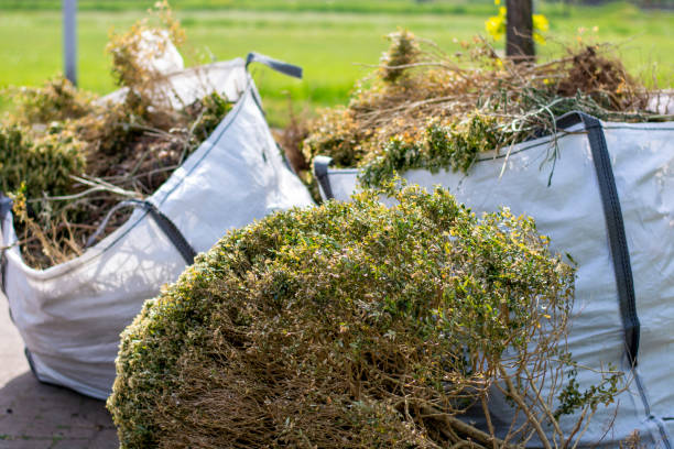 Best Yard Cleanup Services  in Elmwood, IL